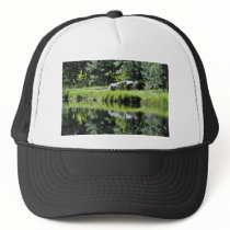 Aspen Lake Trucker Hats