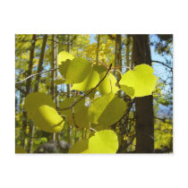 Aspen leaf postcard