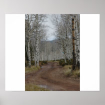 aspen road posters