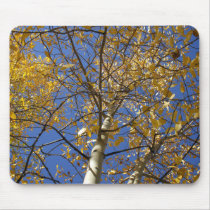 Aspen tree looking up through yellow leaves. mouse pad
