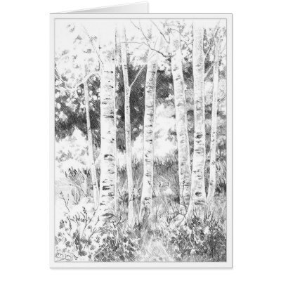 Aspen Trees Card by pawtraitart