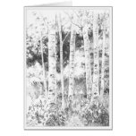 Aspen Trees cards