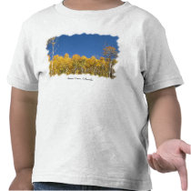 Aspen Trees, Colorado Tshirts