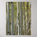 Aspen Trunks vertical print