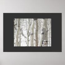 Aspens Close-Up Posters