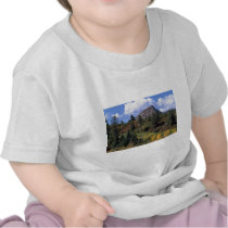 Aspens, Colorado Rockies T Shirt