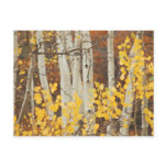 Aspens in Autumn Postcards