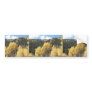 Aspens In Fall, On Shultz Pass Road Near Flagstaff Bumper Stickers