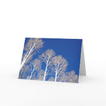 Aspens in Winter Greeting Card