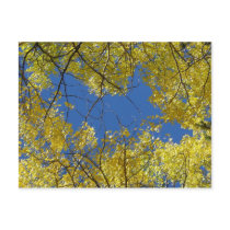 Aspens Postcard