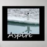 Aspire Poster
