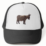 ass hat
