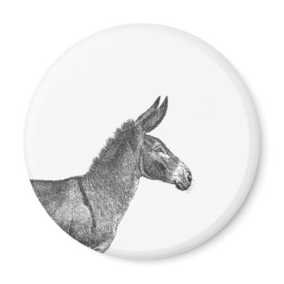 "Ass magnet." Criminally safe for work. by thebloggess