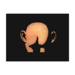Ass With Ears ~ Humour Funny