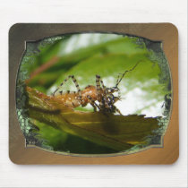 Assassin bug  ~ mousepad