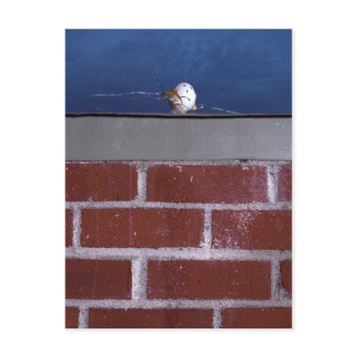 "Assassination of Humpty Dumpty" Postcard by CH by Cyril_Helnwein