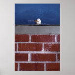 "Assassination of Humpty Dumpty" poster by Cyril H posters