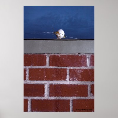 "Assassination of Humpty Dumpty" poster by Cyril H by Cyril_Helnwein