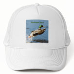 Assateague Island Mallard Duck Logo Hats