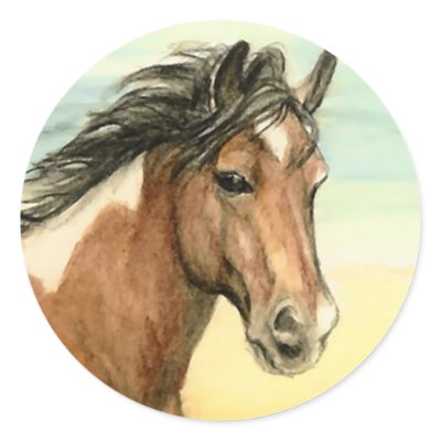 "Assateague Pony" Horse Art Sticker by CharlottesWebArt