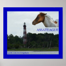 assateague print