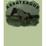 Assateague Wild Horse T-Shirt