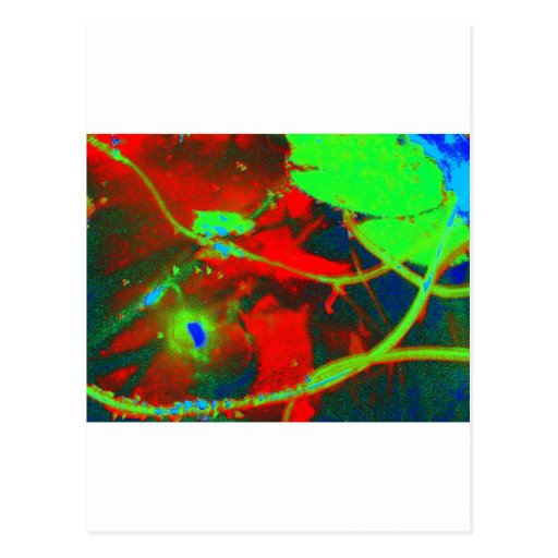 ASSORTED ABSTRACTS POST CARDS