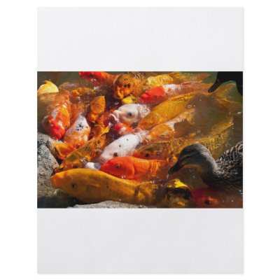 assorted fish flyer by Kachoozie