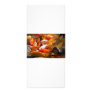 assorted fish rack cards