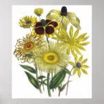 Assorted Yellow Flowers Vintage Artwork Print