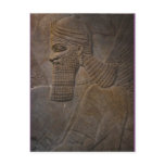 assyrian on the front postcard