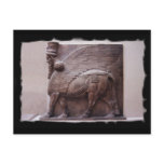assyrian winged bull postcard