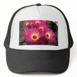 aster 4 mesh hat