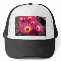aster 4 mesh hat
