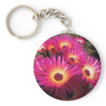 aster 4 key chain