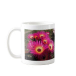 aster 4 mugs