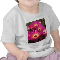 aster 4 tshirt