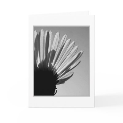 ASTER: A Die Falls . . . Cards by picturepoems2