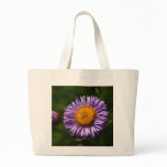 Aster bags