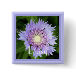 Aster Blue Daisy