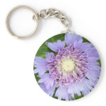 Aster Blue Daisy