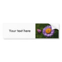 Aster bumper stickers