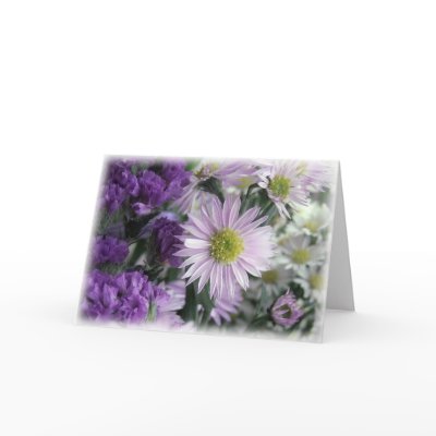 Aster Dream by FlowerPhantasy