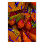 Aster Feathers  - Customised