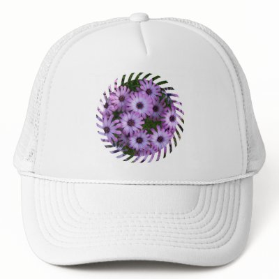 Aster Flowers Baseball Hat by PerennialGardens