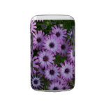 Aster Flowers Blackberry Bold Case