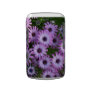 Aster Flowers Blackberry Bold Case