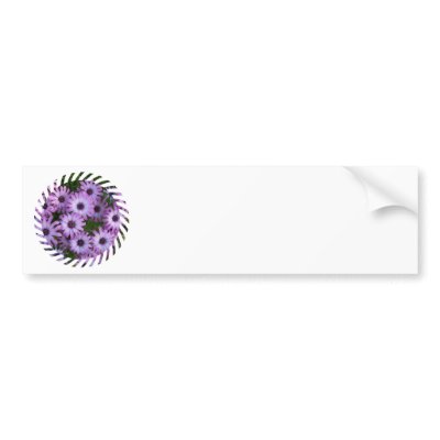 Aster Flowers Bumper Sticker by PerennialGardens
