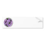 Aster Flowers Bumper Sticker bumper stickers