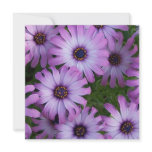Aster Flowers Invitation